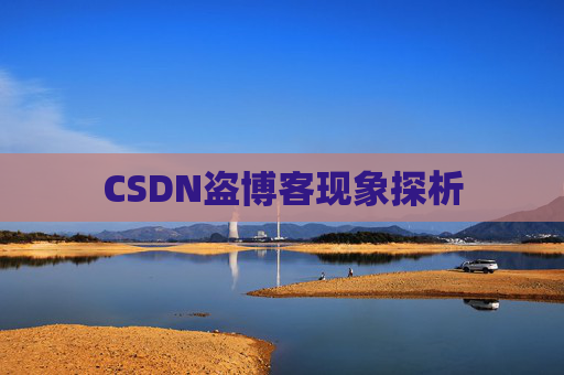 CSDN盗博客现象探析 CSDN盗博客现象探析